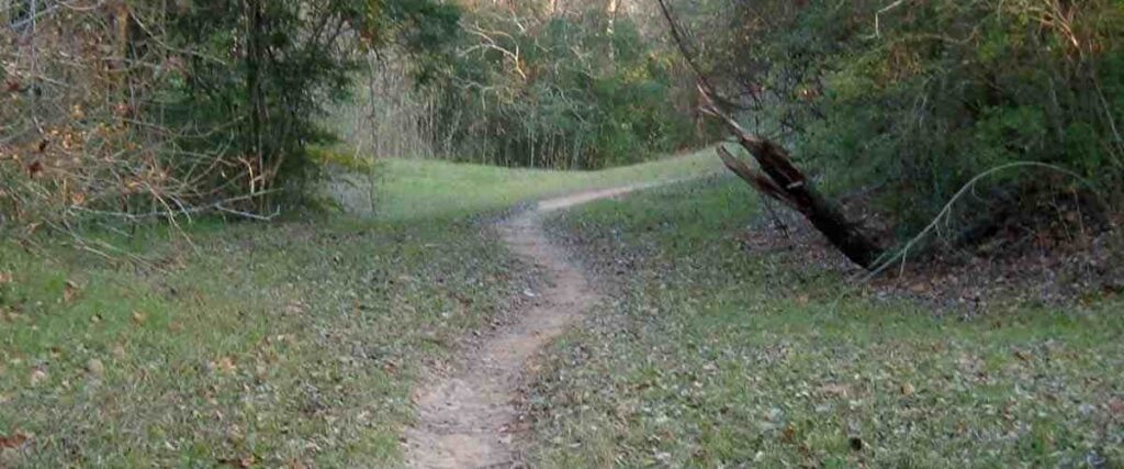 A small trail in the Terry Hershey Park in the Houston area. 