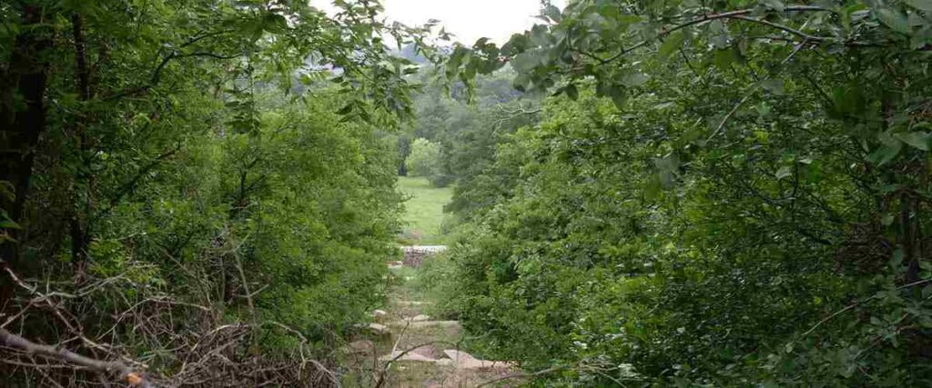 Rock path in Arbor Hills Nature Preserve.