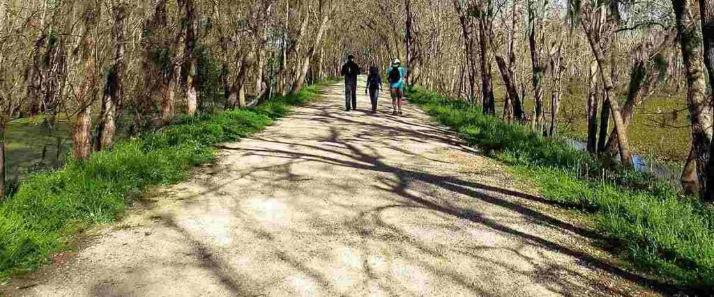 3 People walking on Texas Buckeye Trail.