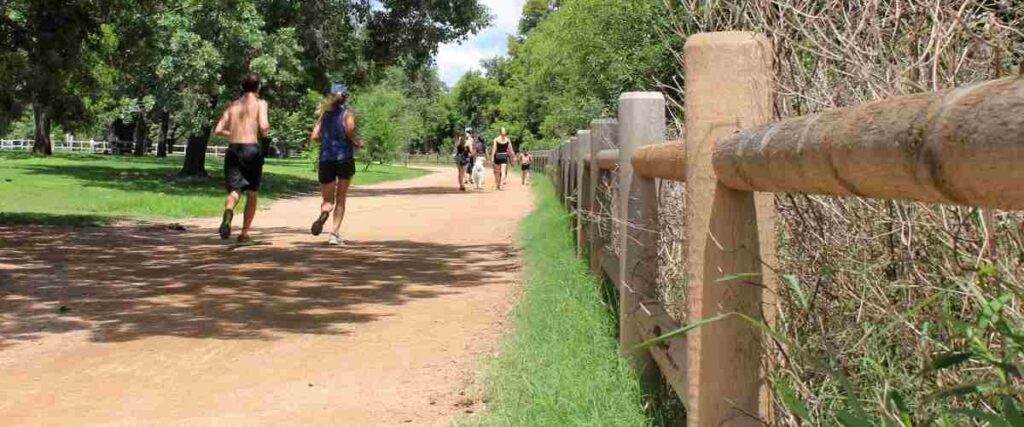 Runners and walkers on the Buller Hike and Bike Trail in the summer. 